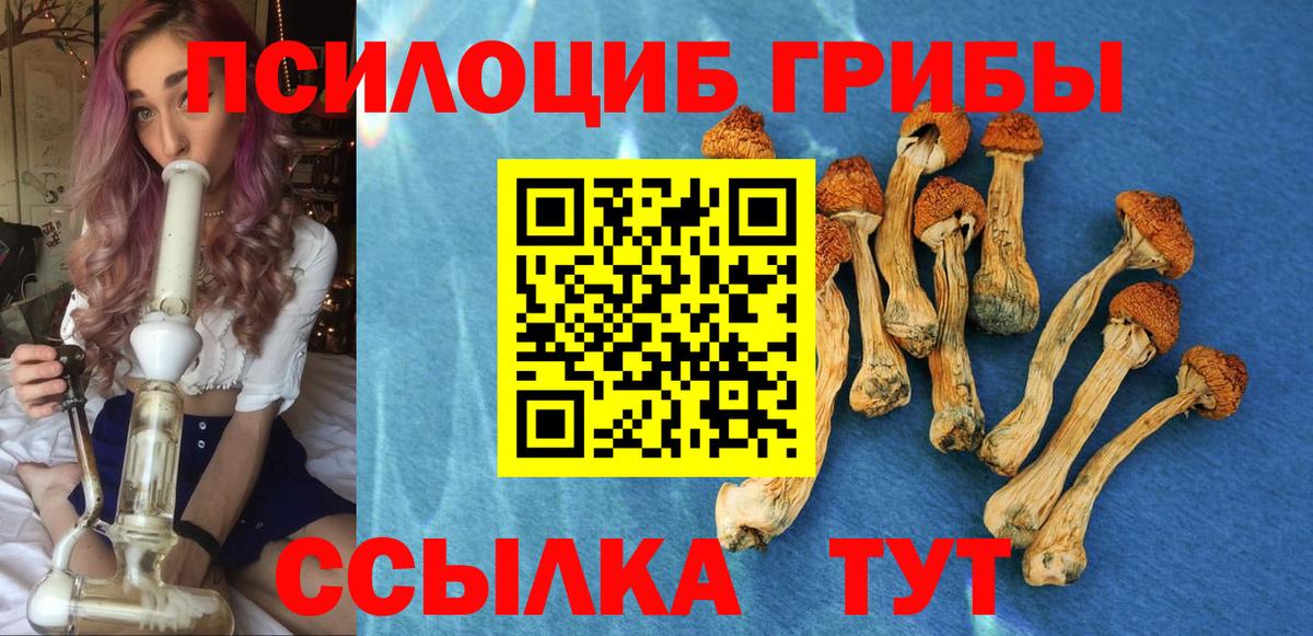 Псилоцибиновые грибы мухоморы Александров