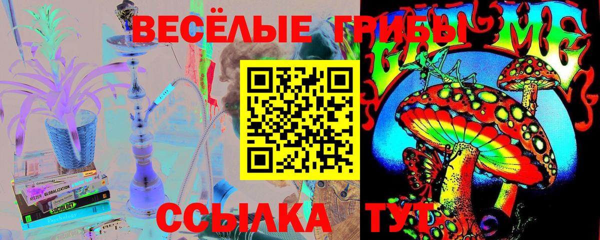Псилоцибиновые грибы мухоморы  Вход с VPN  Александров  Галлюциногенные грибы мухоморы 